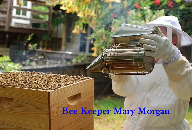 Mary Morgan, Bee Keeper shows MAry in a protective suit using smoke to calm the bees down